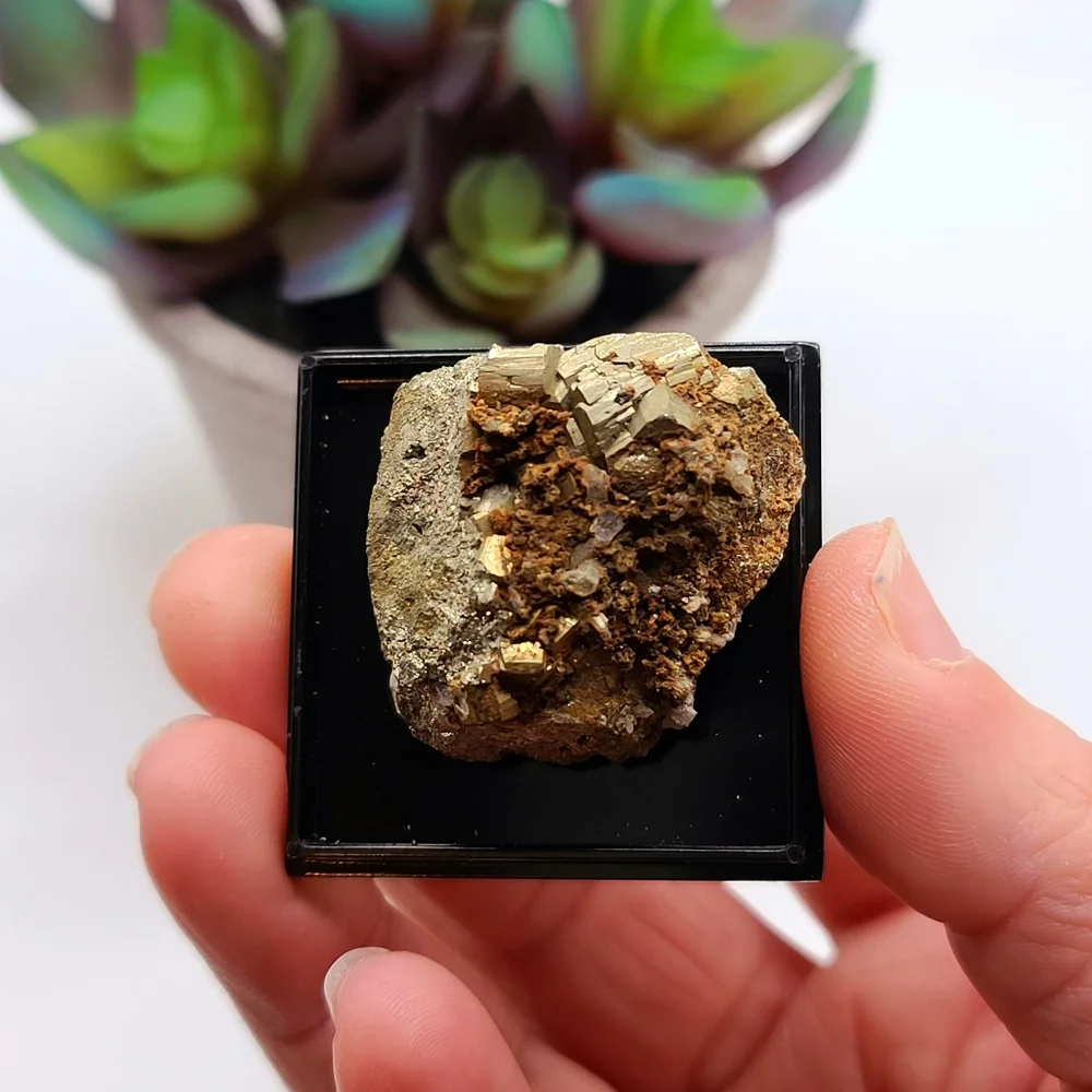USA Pyrite Crystal Mineral Specimen from Tennessee - Old Stock